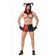 Men's Jester Costume Set