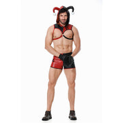 Men's Jester Costume Set